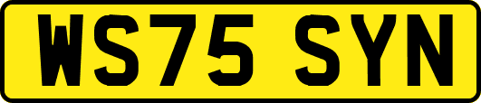 WS75SYN