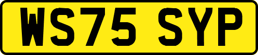 WS75SYP
