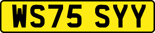 WS75SYY