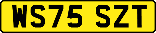 WS75SZT