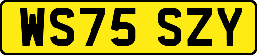 WS75SZY