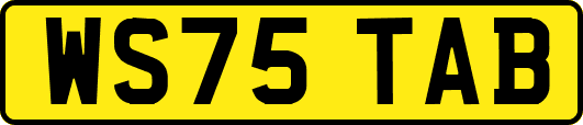 WS75TAB