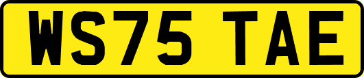WS75TAE