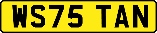 WS75TAN