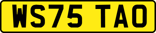WS75TAO