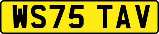 WS75TAV