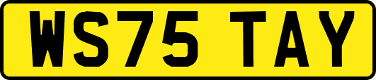 WS75TAY