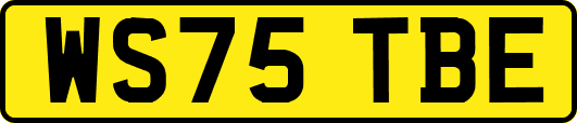 WS75TBE