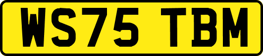 WS75TBM