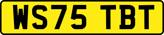 WS75TBT