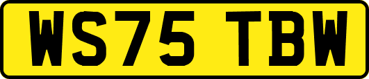 WS75TBW