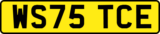 WS75TCE