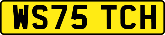 WS75TCH