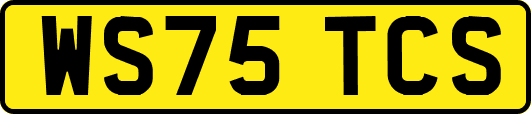 WS75TCS