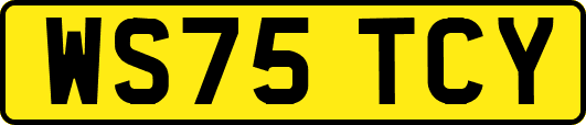 WS75TCY