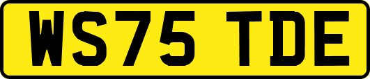 WS75TDE