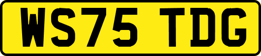 WS75TDG