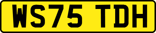 WS75TDH