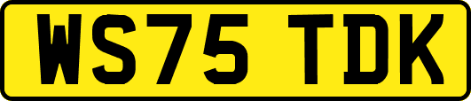 WS75TDK