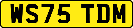 WS75TDM