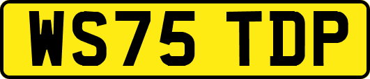 WS75TDP