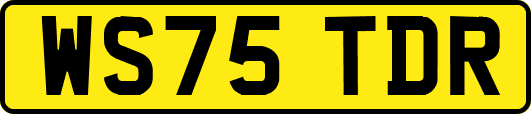 WS75TDR