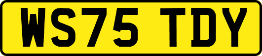 WS75TDY