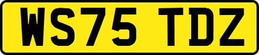 WS75TDZ