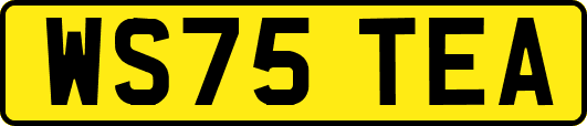 WS75TEA