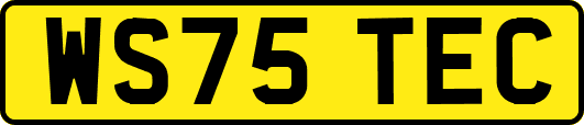WS75TEC