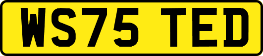 WS75TED
