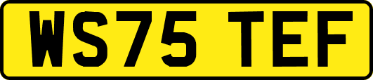 WS75TEF
