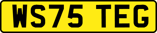 WS75TEG