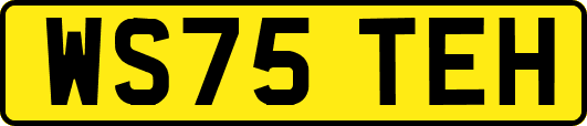WS75TEH