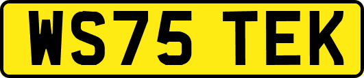 WS75TEK