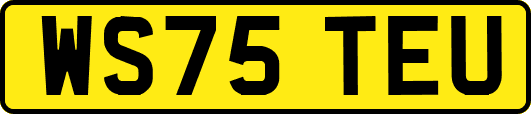 WS75TEU