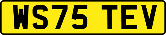 WS75TEV