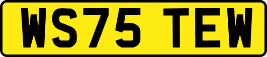 WS75TEW