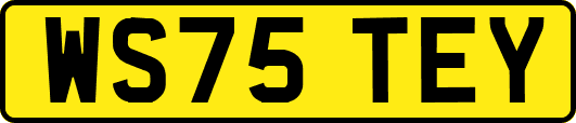 WS75TEY