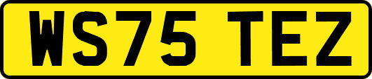 WS75TEZ