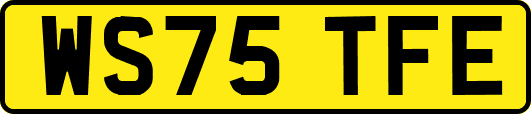 WS75TFE