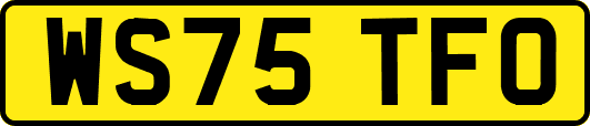 WS75TFO