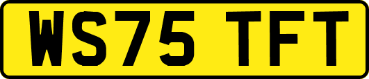 WS75TFT