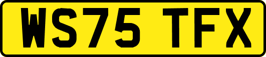WS75TFX