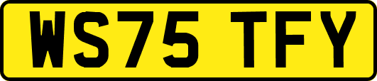 WS75TFY