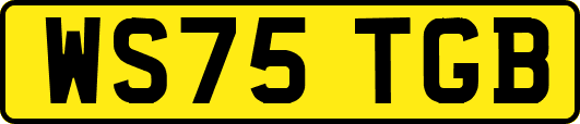 WS75TGB