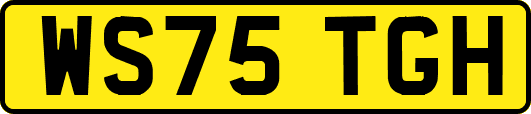 WS75TGH
