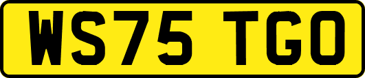 WS75TGO