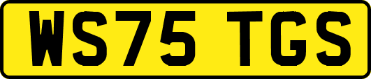 WS75TGS