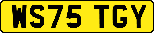 WS75TGY